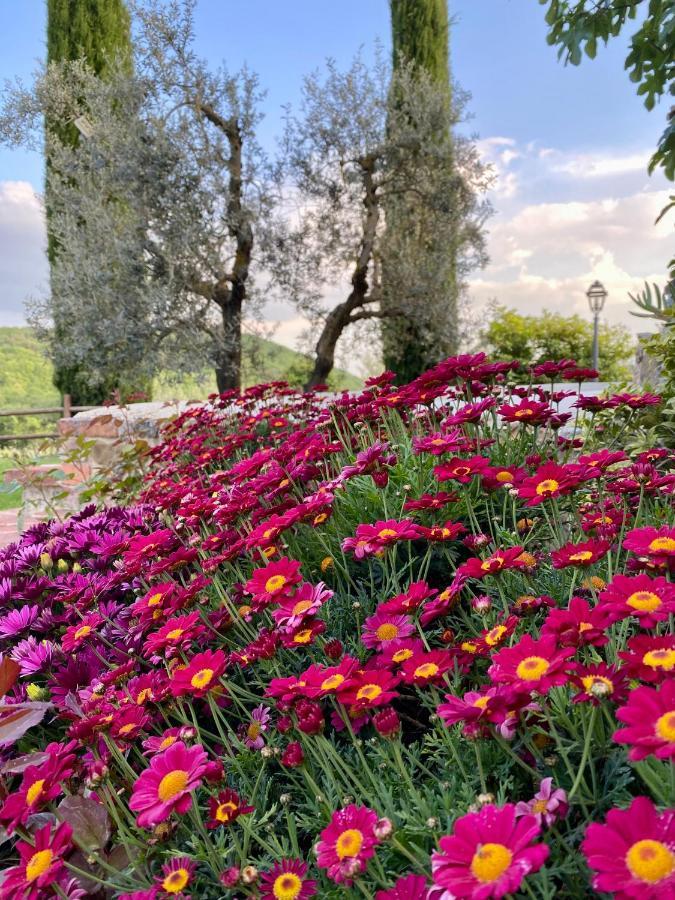 Agriturismo Belagaggio Montefollonico Dış mekan fotoğraf