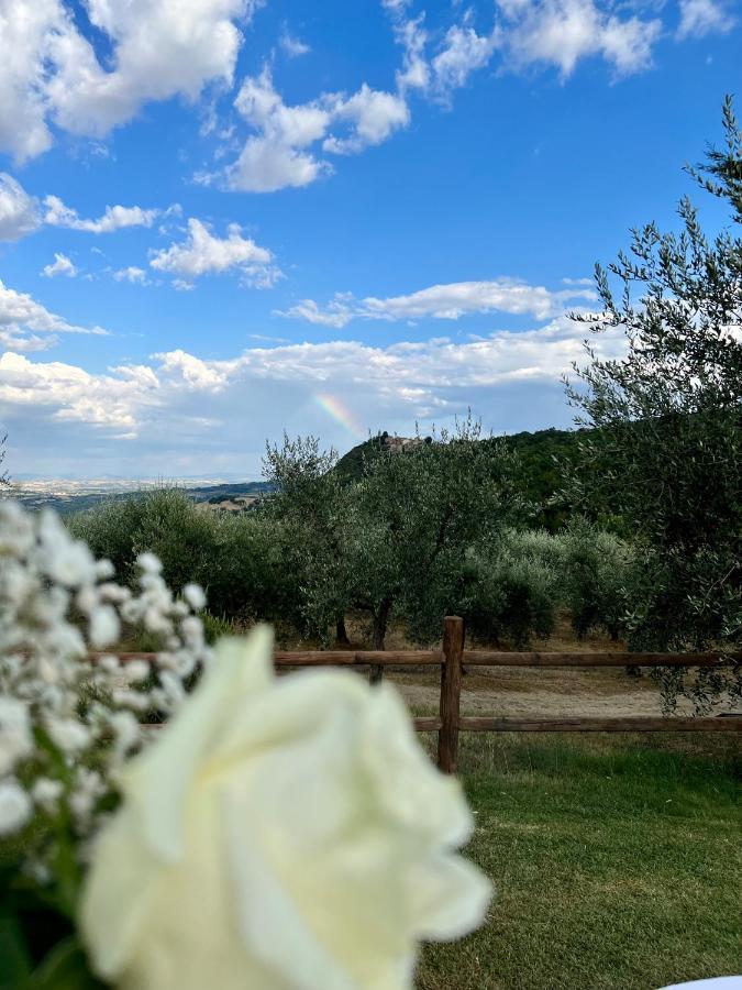 Agriturismo Belagaggio Montefollonico Dış mekan fotoğraf
