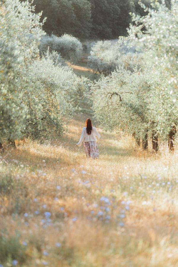 Agriturismo Belagaggio Montefollonico Dış mekan fotoğraf